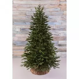 ель ирландская 155см black box зеленая 74054