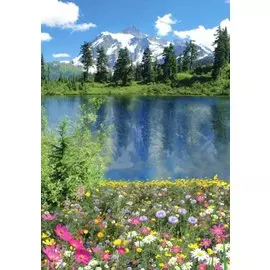 фотообои алтайское лето х 5 премиум 136*194см /4 листа/
