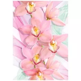 фотообои орхидеи х 5 премиум 194*136см /4 листа/