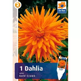 Георгина Голд Кроун, луковицы 1шт 020126