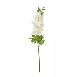 Гиацинт белый