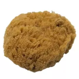 губка натуральная морская 16см 55226