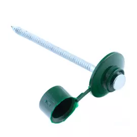 Гвозди для ондулина оц.80 мм с пл.шляп зеленый 20 шт