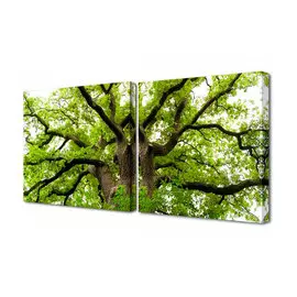 Холст модульный 100*50 S-4117H