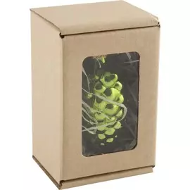 игрушка ёлочная "шишка" ф.2.009 волшебная страна стекло зелёная 006326