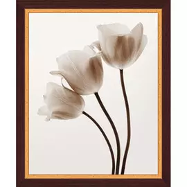 Картина Цветы ч/б WG 4150/40*50 4607158141393