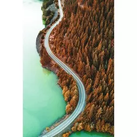 Картина на холсте 60x90 Осенний лес и дорога 1 HE-101-678