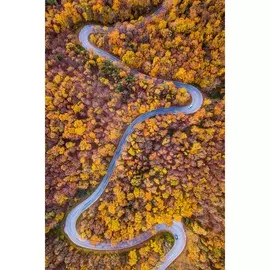 Картина на холсте 60x90 Осенний лес и дорога 2 HE-101-679