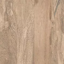 керамогранит 60*60 "nottingham" матовый