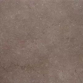 Керамогранит Дайсен SG602600R коричневый обрезной