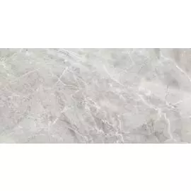 керамогранит delhi серый рект. 60х120