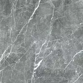 Керамогранит Пайер 60х60 Серый полированный