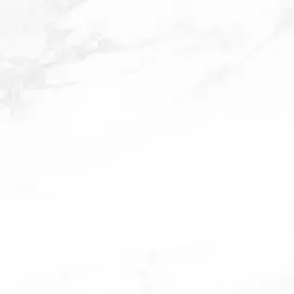 Керамогранит Пайер G281 60,0*60,0 элегантный полированный