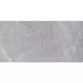 Керамогранит Риальто 119.5х60 серый SG560700R