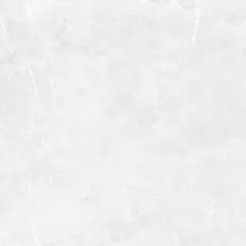 керамогранит рива 1 50х50 светло-серый ск000020080