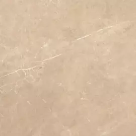 керамогранит sunny_gt бежевый 60*60 gt60601802mr