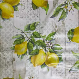 Клеенка Wondertex 140см 6006/01 Витамин С Giovanni Bottigelli 7274