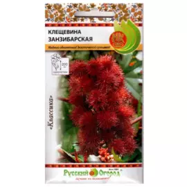 клещевина занзибарская /5шт/
