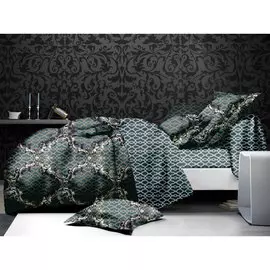 Комплект постельного белья Cleo 1,5сп микросатин 15/011-BL