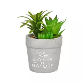 композиция суккулентов в кашпо 70*70*150 вещицы зеленый rio5