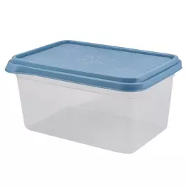 Контейнер 2,4л BERGEN Plast Team туманно-голубой PT1140ТГ-19