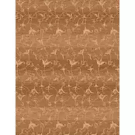 Ковер Kashmir 2,0*3,0м 22842, современный с рисунком, Berber