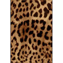 Ковер Practica 1,2*1,7м 63BMM