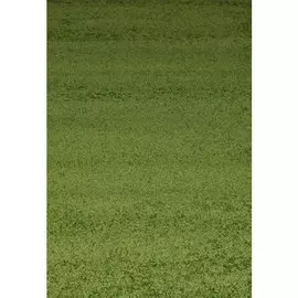 Ковер Shaggy Ultra 1,0*2,0м s600 GREEN