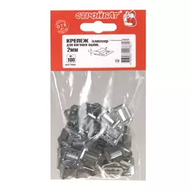 КРЕПЕЖ Д/ВАГОНКИ (ОЦИНК) № 2(100 ШТ)