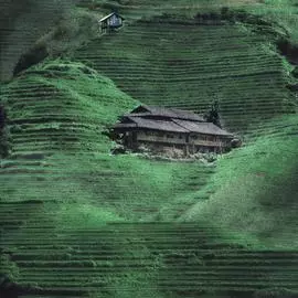 L32994 Обои Ugepa (Chambord) (1*6) 10,05x1,06 винил на флизелине