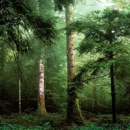 L59604 Бордюр Ugepa (Horizons) (1*12) 10,05x0,53 винил на флизелине