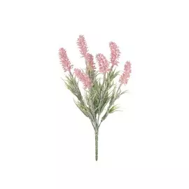 Лаванда 7 ст розовый