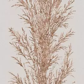 LU-06-08-4 Обои Grandeco (Lucia) (1*12) 10,05х0,53 винил на флизе