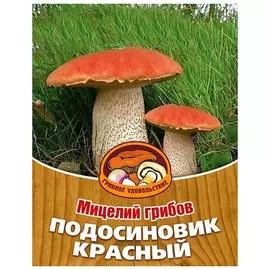 Мицелий Подосиновик красный 10017