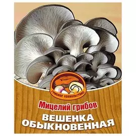 Мицелий Вешенка обыкновенная 10006