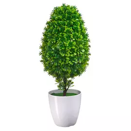 Мирт 140*140*400 Engard в керам.кашпо зеленый B19