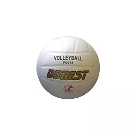 Мяч волейбольный клеенный