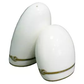 Набор для соли и перца 2пр. Костяной фарфор 169-026