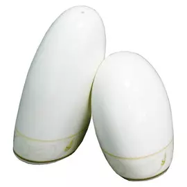 Набор для соли и перца 2пр. Костяной фарфор 169-027