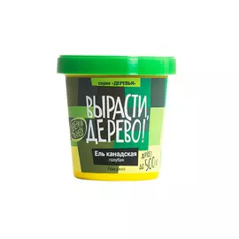 набор вырасти дерево ель канадская голубая zk-048