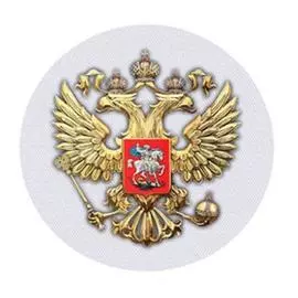 Наклейка на запасное колесо "Герб" светлый карбон, наружная полноцветная 56,5 см