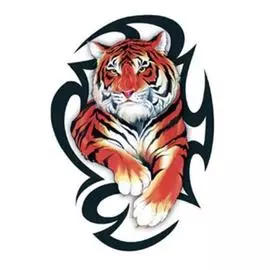 Наклейка "Тигр-tatoo" №2 наружная полноцветная, (комплект на две стороны) 35х50 см
