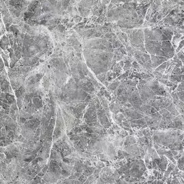 Напольная плитка Canica 61х61 Серый TFU04CNC707