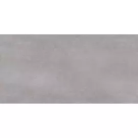 Настенная плитка Bonita 24.9х50 Серый