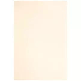 Обои 1024-05 EuroDecor 6 1,06*10м фон, бежевый