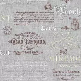 обои 1041-013п пермские обои бонжур бумага бумага 0.53x10,05м подростковые серый