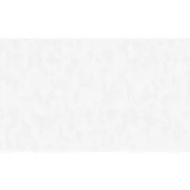 обои 10613-01 артекс симона флизелин 1.06x10,05м однотонный белый