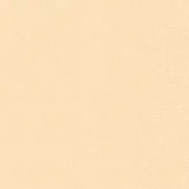 Обои 168109-03 Дольче Вита Vernissage винил на флизе 1,06*10,05м фон, бежевый