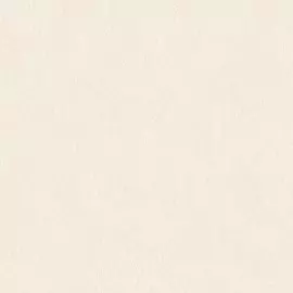 обои 4568-2 erismann light2 винил на флизе 1.06x10,05 однотонный, бежевый