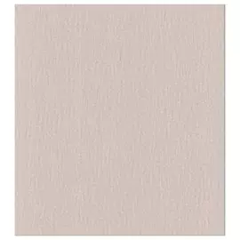 Обои 48-083-09 ART Amsterdam флиз. 1,06*10,05м фон однотонный, розовый